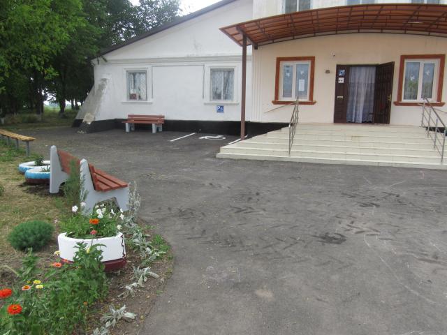IMG 3816