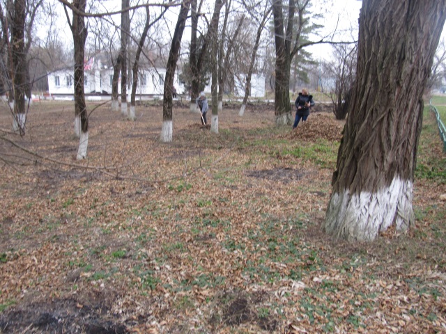 IMG 3049