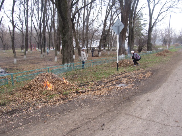 IMG 3050