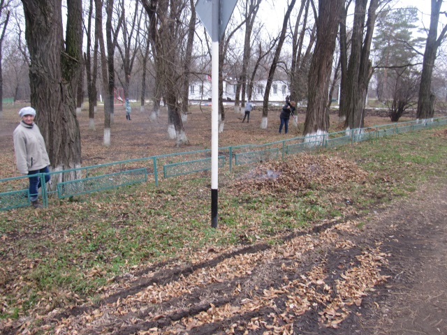 IMG 3051