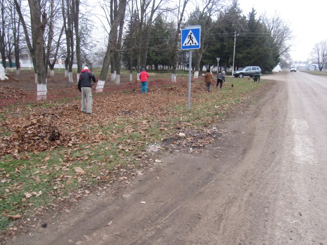 IMG 3060