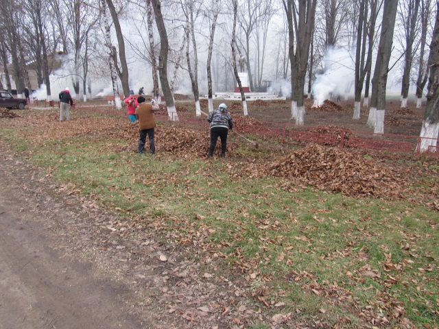 IMG 3061