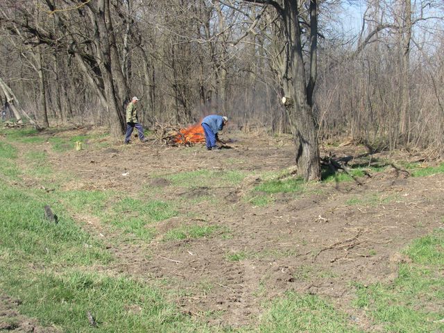 IMG 3334