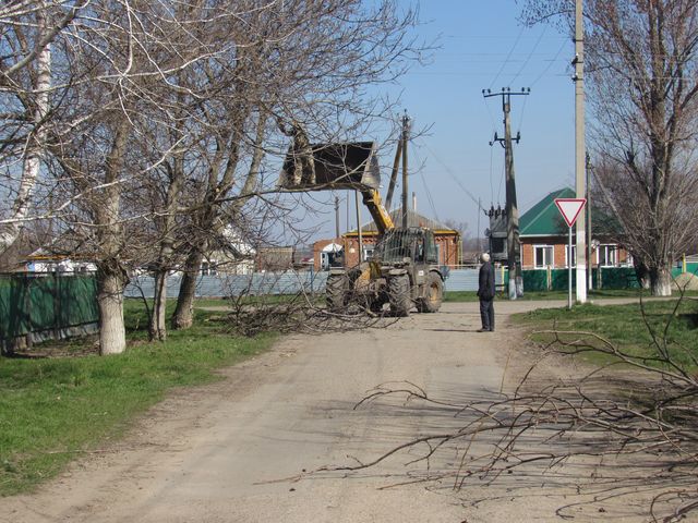 IMG 3339