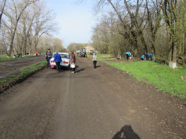 IMG 3371