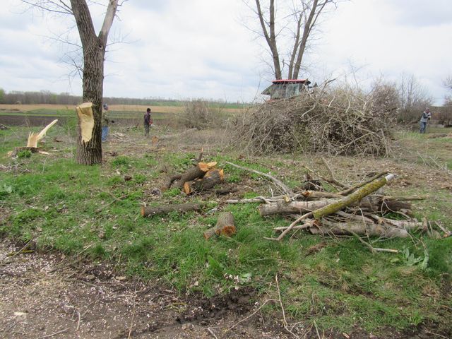 IMG 3416