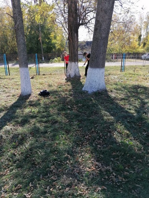 IMG 20211023 WA0007